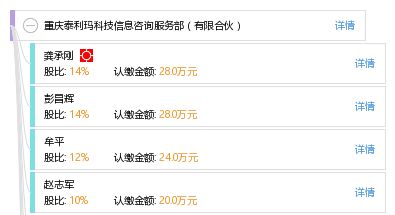 立足專業，服務未來 重慶泰利瑪科技信息咨詢服務部的信息技術咨詢服務