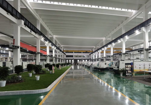 匠心獨(dú)運(yùn) 專(zhuān)心致志 重慶信息技術(shù)咨詢(xún)服務(wù)企業(yè)以高質(zhì)量發(fā)展贏得市場(chǎng)